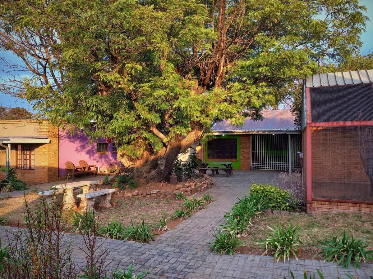 Hostel Backpackers Connection @ Jnb Airport Benoni Exterior foto